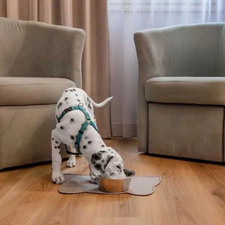 De La Depandance Di Augustus 3*